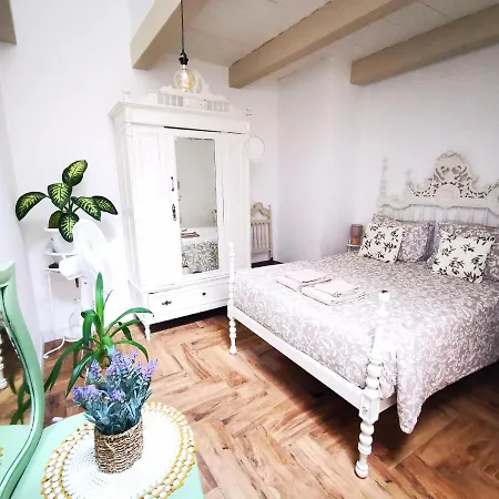 Apartment Charming Portuguese Style Apartment, For Rent 