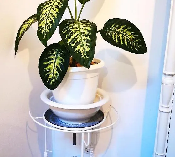 Charming Portuguese Style Apartment, For Rent 