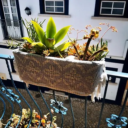 Charming Portuguese Style Apartment, For Rent 