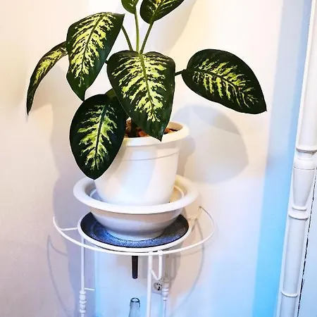 Charming Portuguese Style Apartment, For Rent 