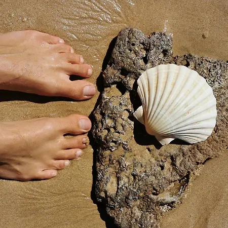 Charming Portuguese Style Apartment, For Rent 