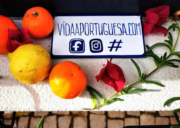 Apartment Charming Portuguese Style Apartment, For Rent 